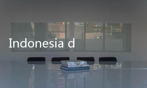 Indonesia dan Prancis Kolaborasi, Majukan Ekonomi Digital dan Perlindungan Anak